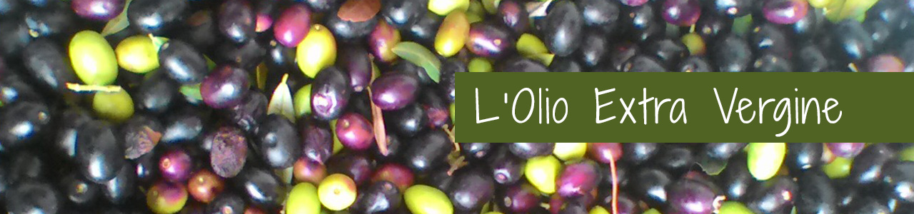 Shop Banner
